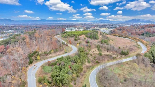 an aerial view of residential houses with outdoor space and river