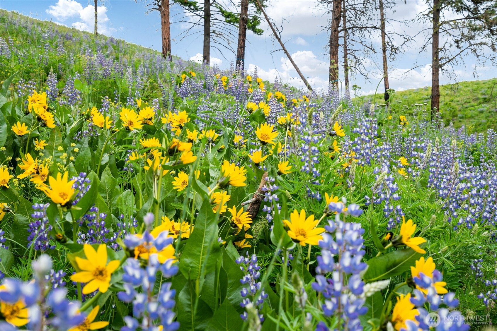 10665 North Road Leavenworth, WA 98826 - Photo 4 of 40