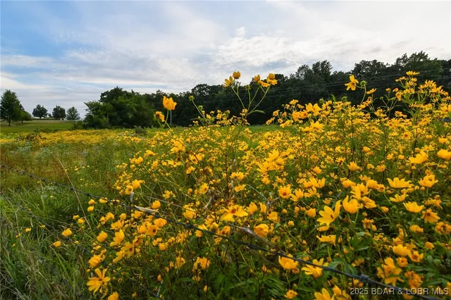 $419,900 | 10 Hidden Oaks Road, Eldon, MO 65026