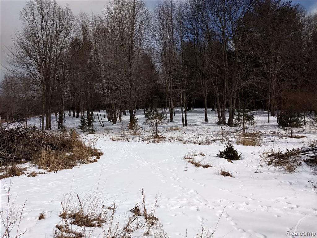 0 Smith Road Davison, MI 48423 - Photo 2 of 20 IMG_20190305_132801042_BURST000_COVER.jpg