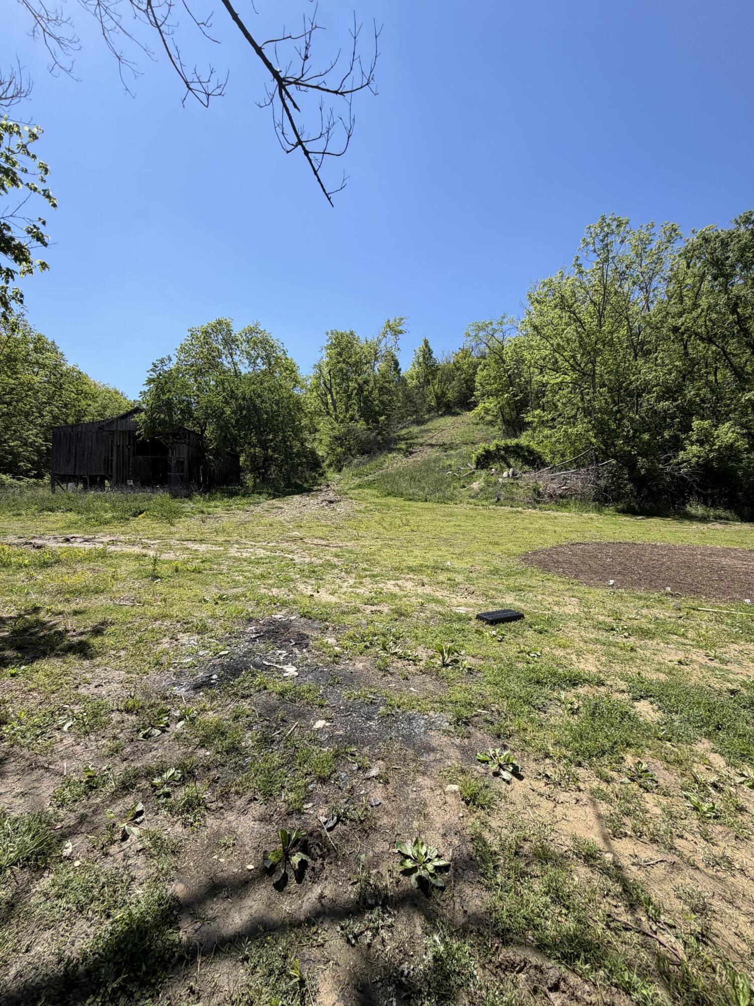 1050 Burgin Road Lawrenceburg, KY 40342 - Photo 32 of 45 IMG_2579