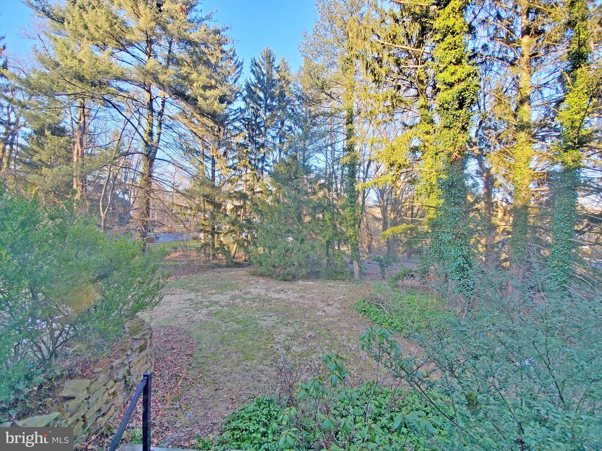725 Woodcrest Road Wayne, PA 19087 - Photo 9 of 30 View from Dining Room