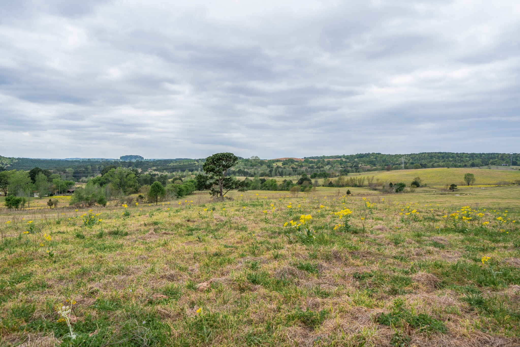 155 Ore City Tx 75683 Tyler, TX 75708 - Photo 21 of 50 a view of an ocean and beach