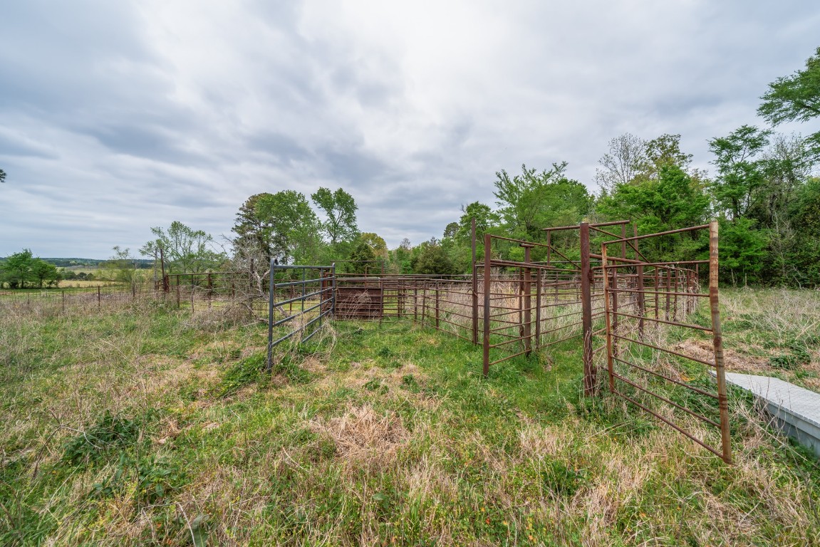 155 Ore City Tx 75683 Tyler, TX 75708 - Photo 26 of 50 a backyard of a house with lots of green space and plants