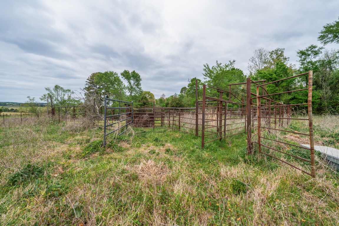 155 Ore City Tx 75683 Tyler, TX 75708 - Photo 27 of 50 a view of yard with green space