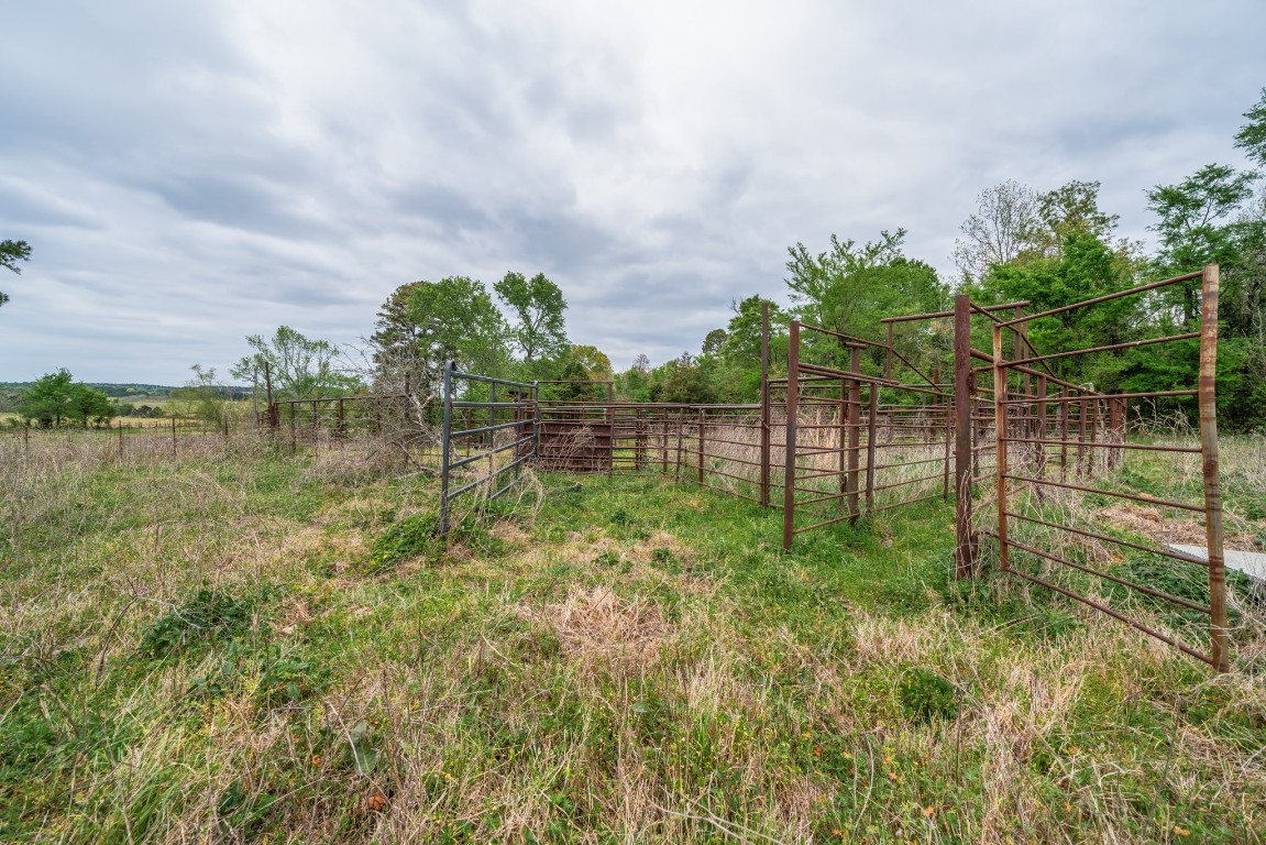 155 Ore City Tx 75683 Tyler, TX 75708 - Photo 28 of 50 a view of yard with green space
