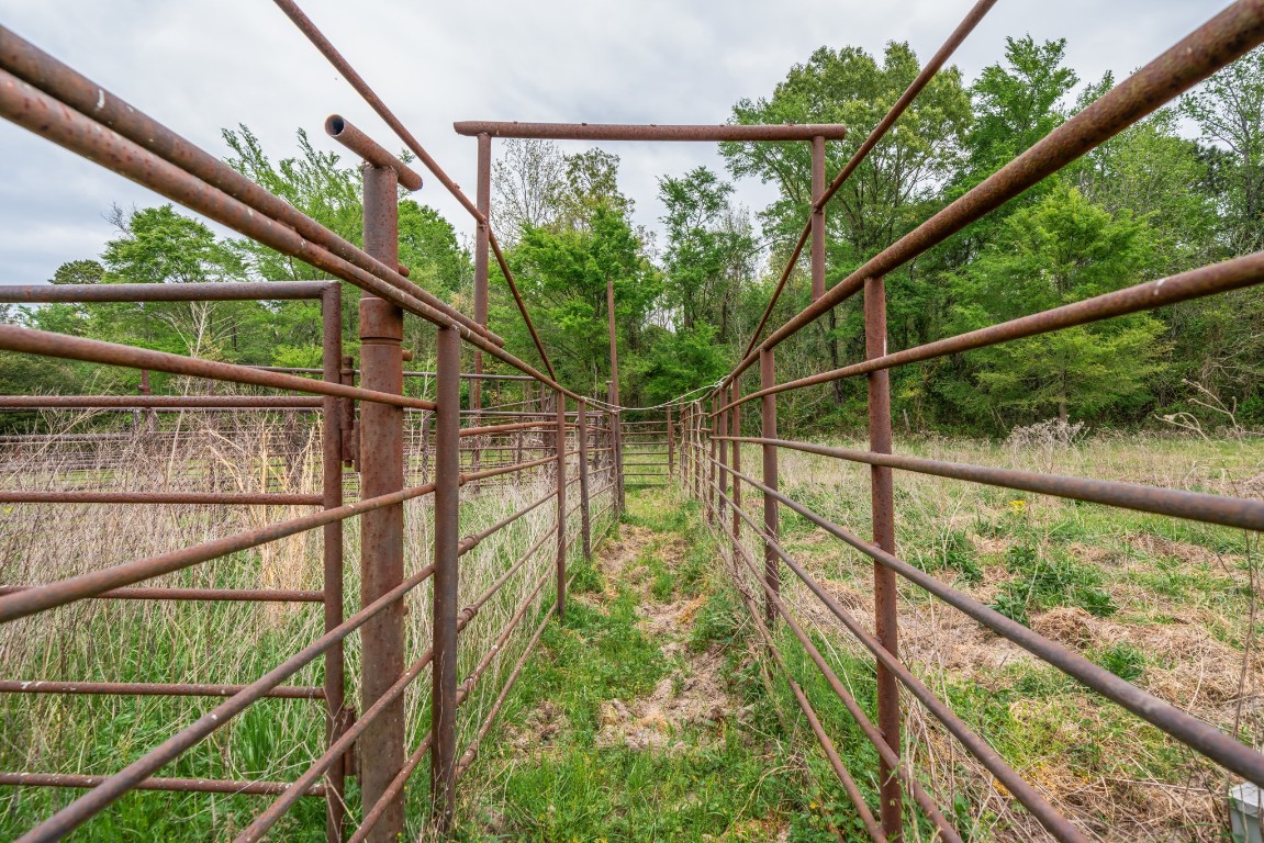 155 Ore City Tx 75683 Tyler, TX 75708 - Photo 32 of 50 a view of trees from a balcony