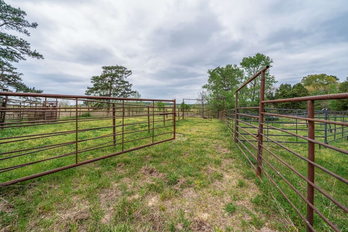 155 Ore City Tx 75683 Tyler, TX 75708 - Photo 33 of 50 a view of a backyard