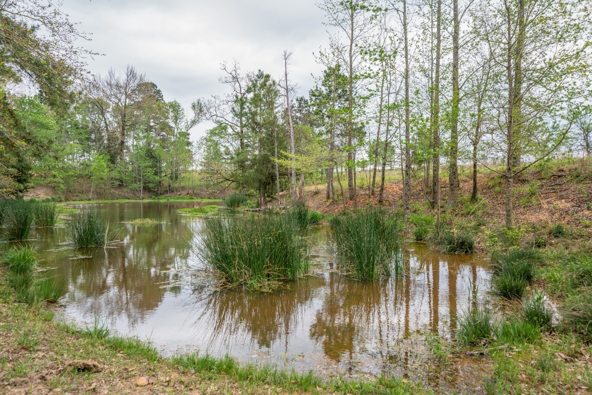 155 Ore City Tx 75683 Tyler, TX 75708 - Photo 39 of 50 a lake view with residential houses