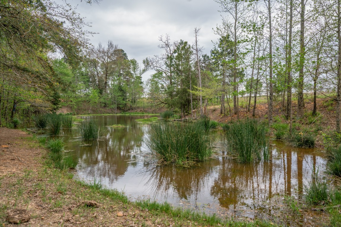 155 Ore City Tx 75683 Tyler, TX 75708 - Photo 40 of 50