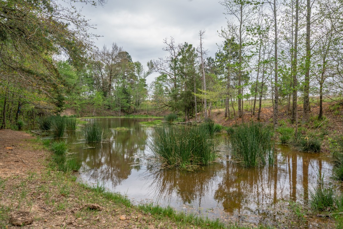 155 Ore City Tx 75683 Tyler, TX 75708 - Photo 42 of 50 view of lake with green space