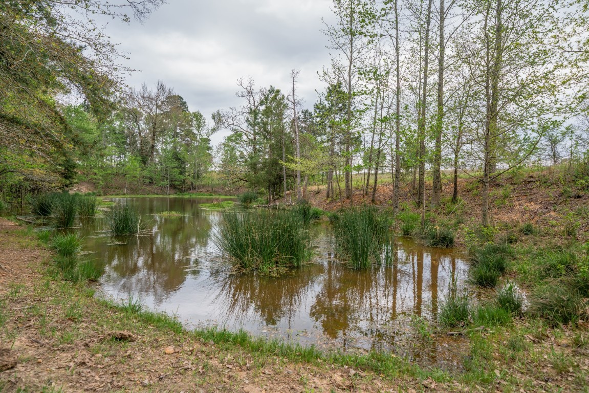 155 Ore City Tx 75683 Tyler, TX 75708 - Photo 43 of 50 a view of lake