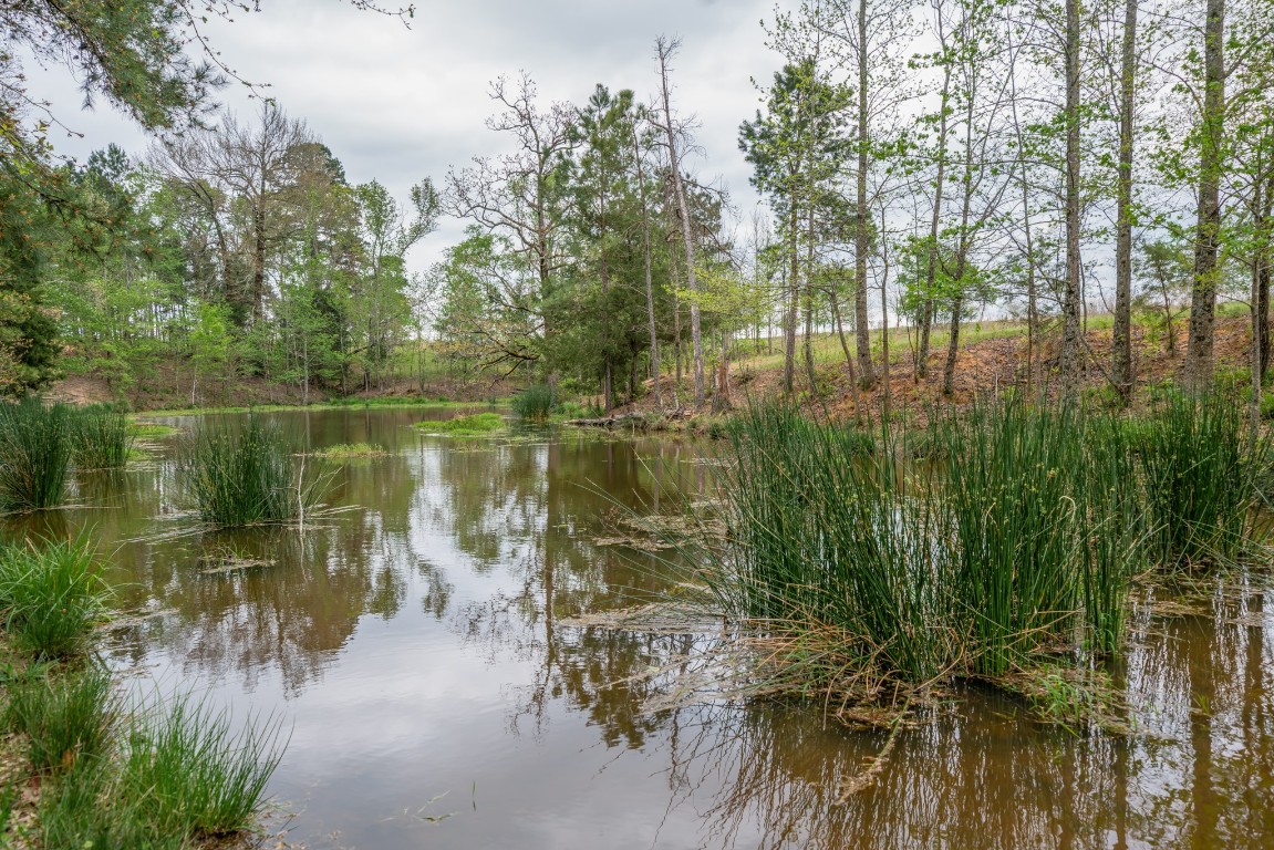 155 Ore City Tx 75683 Tyler, TX 75708 - Photo 44 of 50 a view of lake