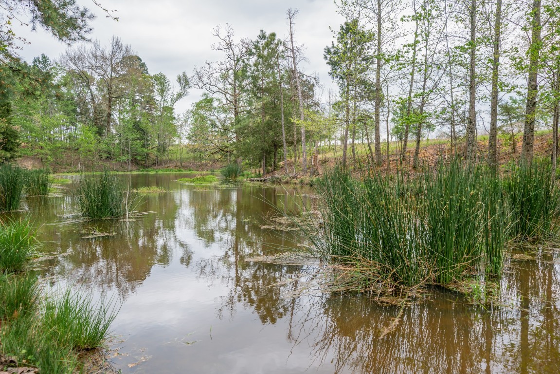 155 Ore City Tx 75683 Tyler, TX 75708 - Photo 46 of 50