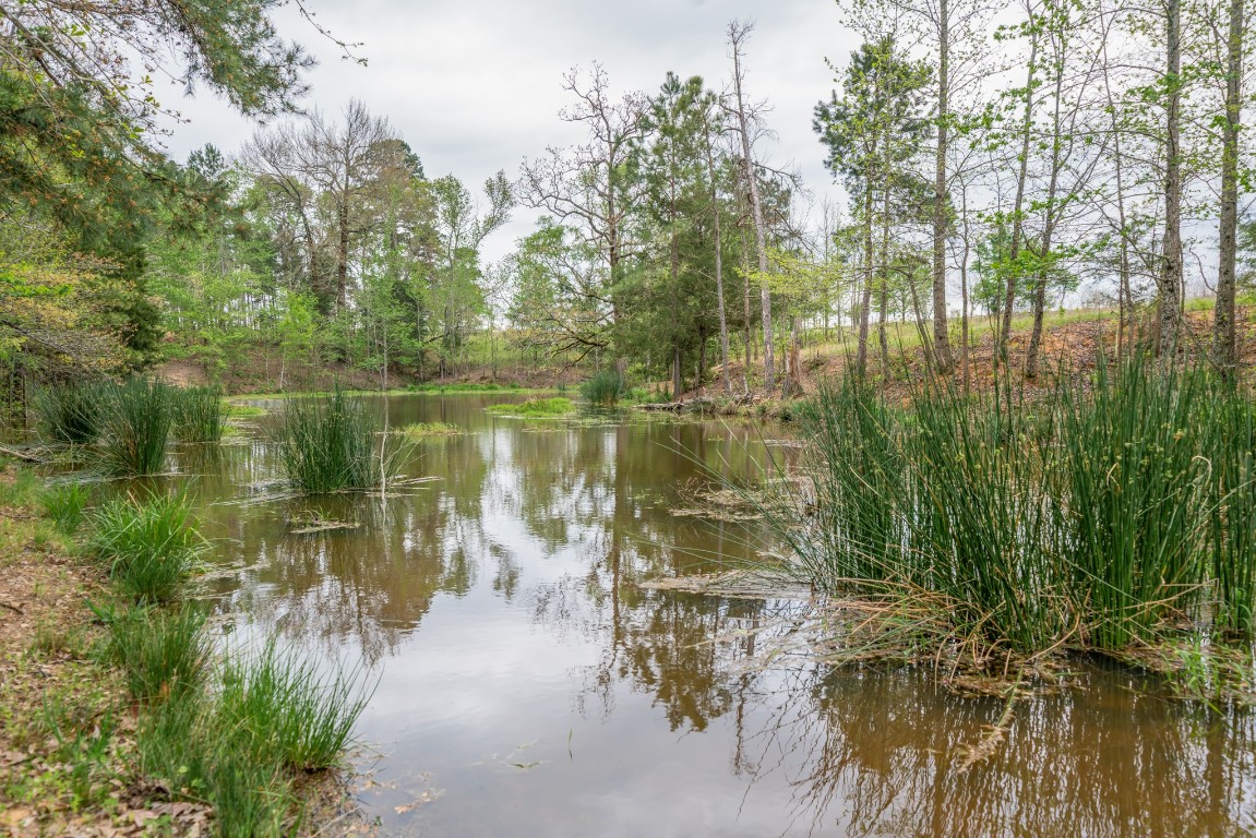 155 Ore City Tx 75683 Tyler, TX 75708 - Photo 47 of 50 a view of lake