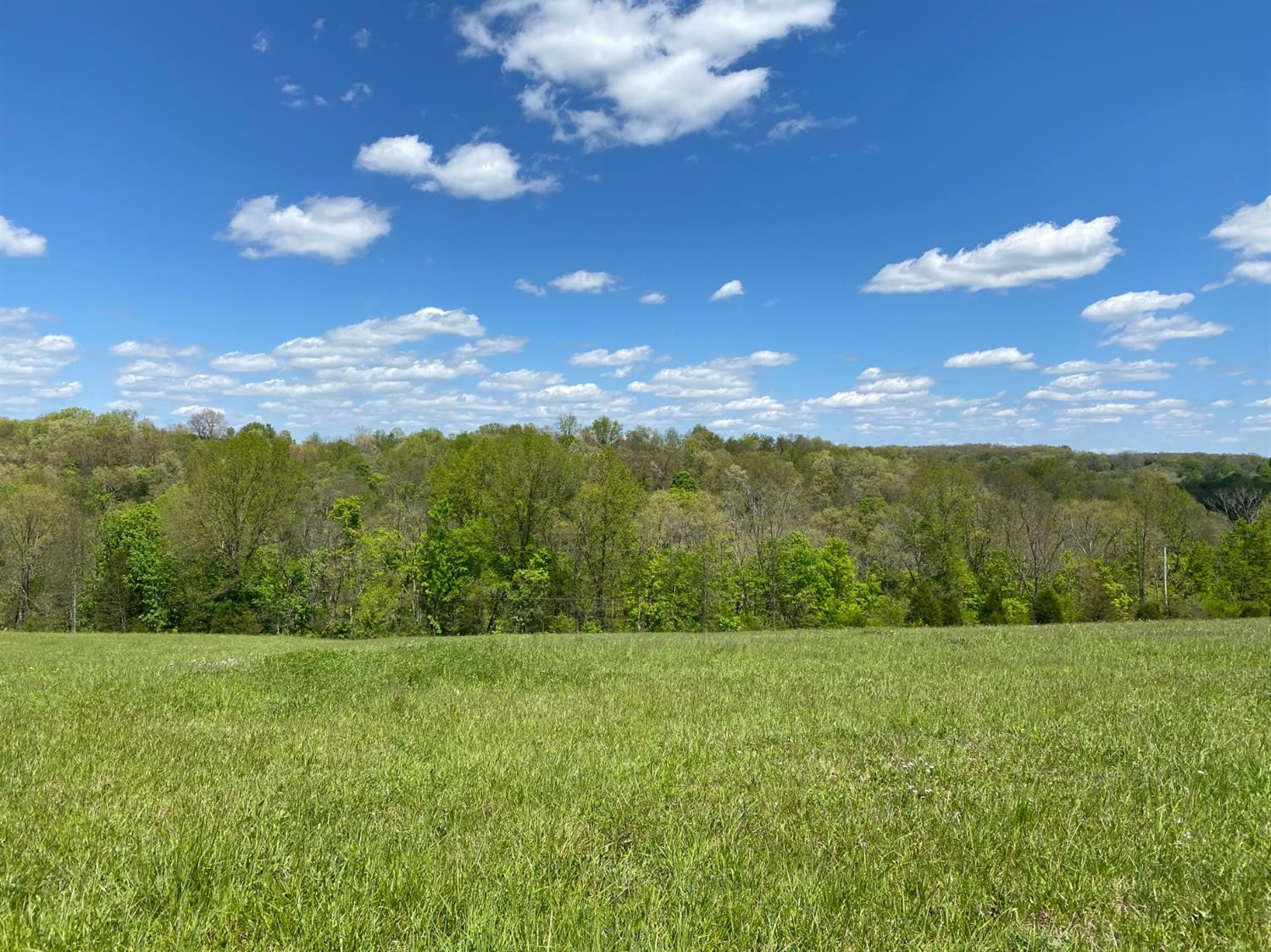 1 Snow Creek Road Clay City, KY 40312 - Photo 1 of 5 Photo 1