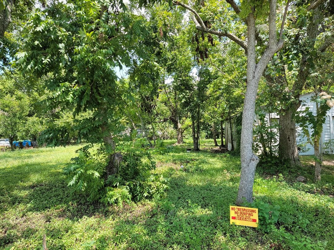 421 Ave B La Marque, TX 77568 - Photo 5 of 8 a backyard of a house with lots of green space