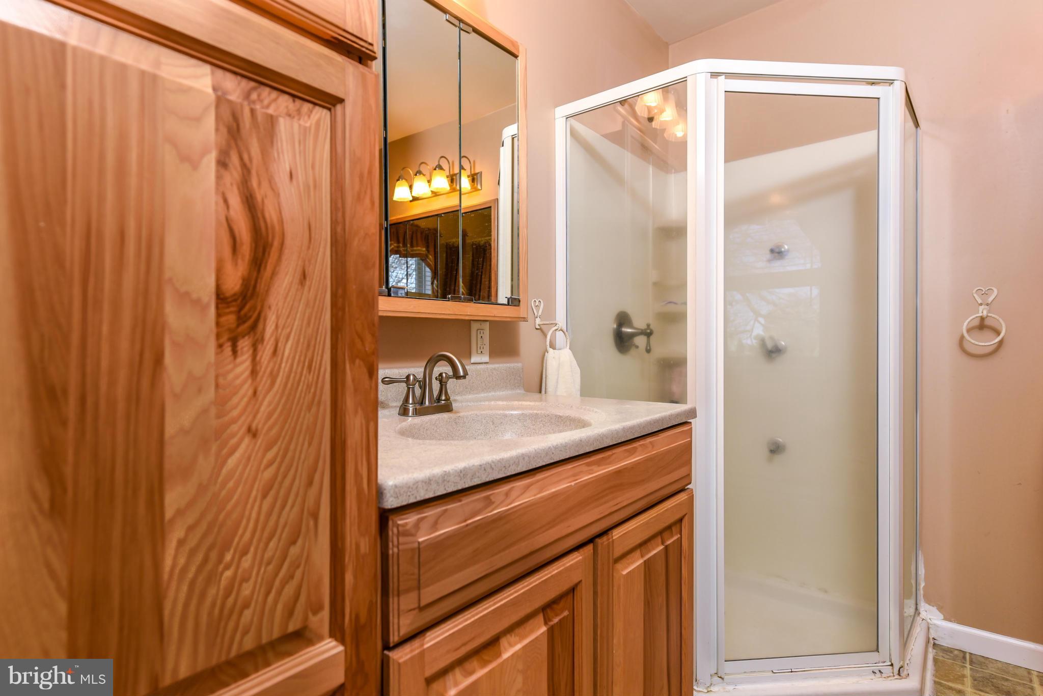 2392 Appleton Road Elkton, MD 21921 - Photo 19 of 26 Bath (Master)