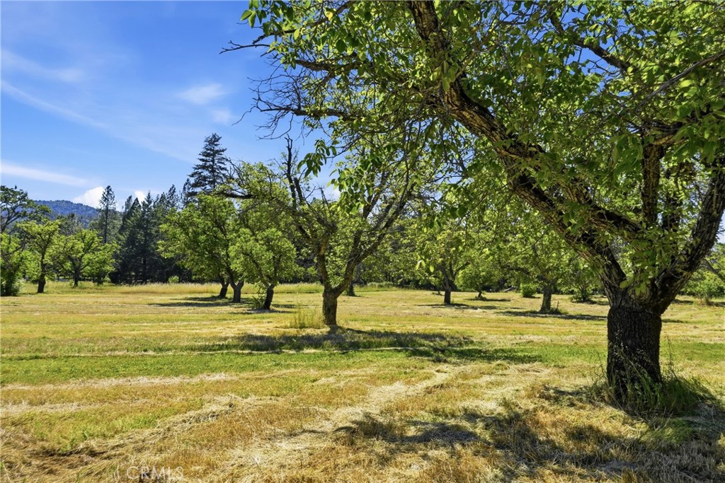 22550 Shady Grove Road Middletown, CA 95461 - Photo 50 of 68