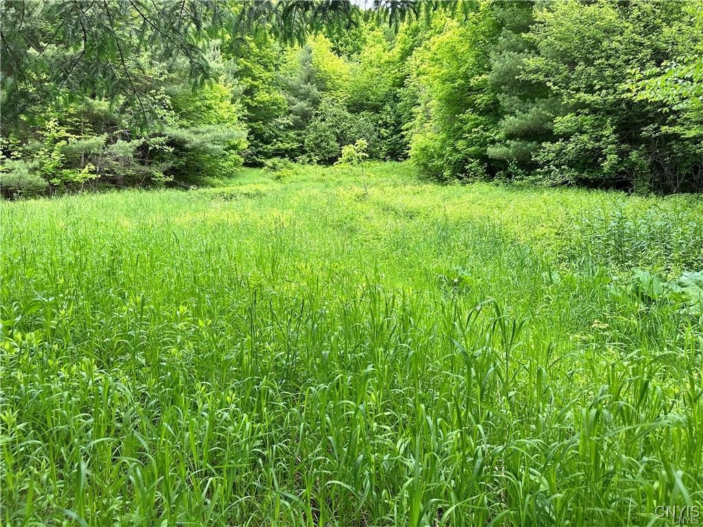 21 Church Street Fine, NY 13639 - Photo 37 of 44