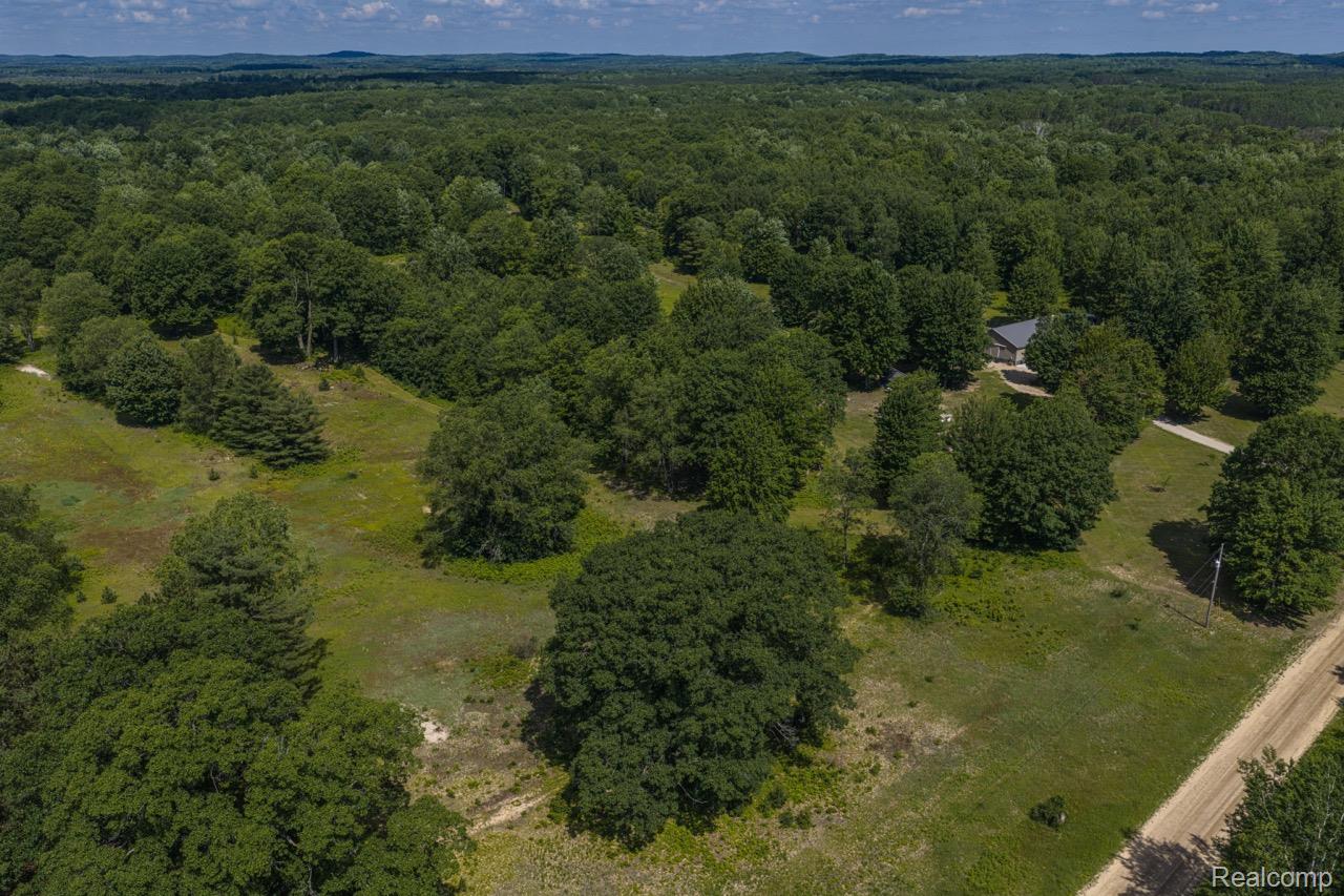 2418 South 41st Road South Cadillac, MI 49601 - Photo 34 of 57 Expansive wooded property featuring a single-story residence with a gray roof