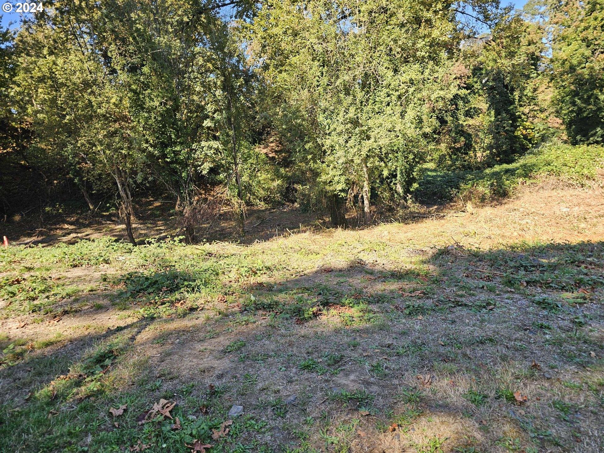 9670 Parcel St. Helens, OR 97051 - Photo 1 of 3