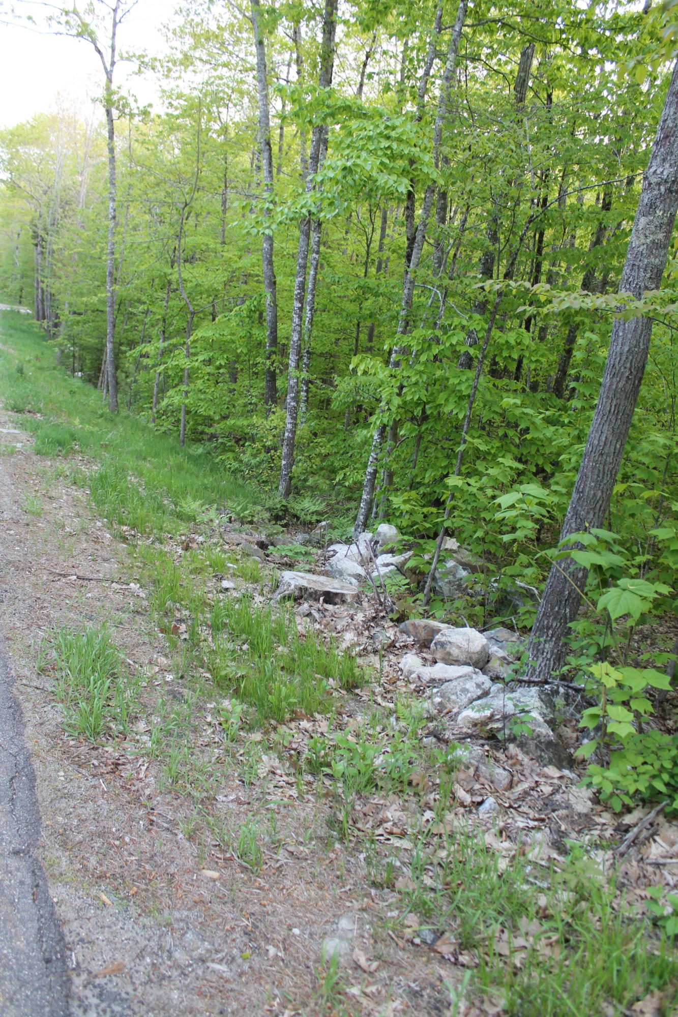 0 Cross Hill Road Augusta, ME 04330 - Photo 7 of 7 Cross Hill Rd 43