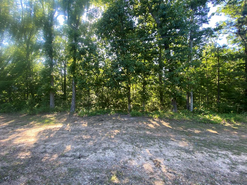 Lot 9 Hines Gap Road Hamilton, GA 31811 - Photo 1 of 7 Main View