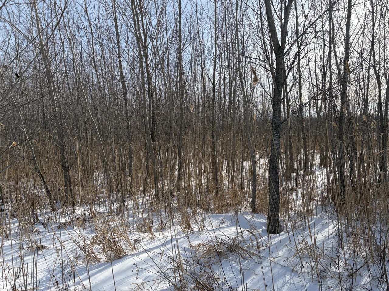V/l Cade Road Capac, MI 48014 - Photo 35 of 51