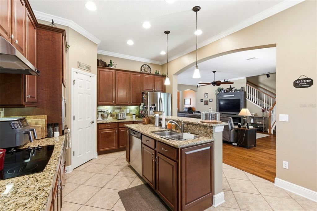 8743 New Alexandria Loop New Port Richey, FL 34654 - Photo 18 of 100