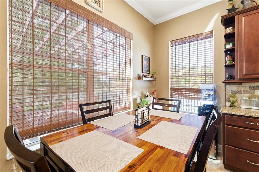 8743 New Alexandria Loop New Port Richey, FL 34654 - Photo 20 of 100