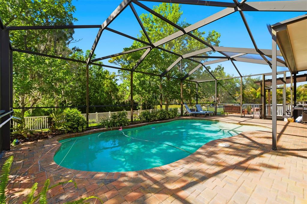 8743 New Alexandria Loop New Port Richey, FL 34654 - Photo 2 of 100