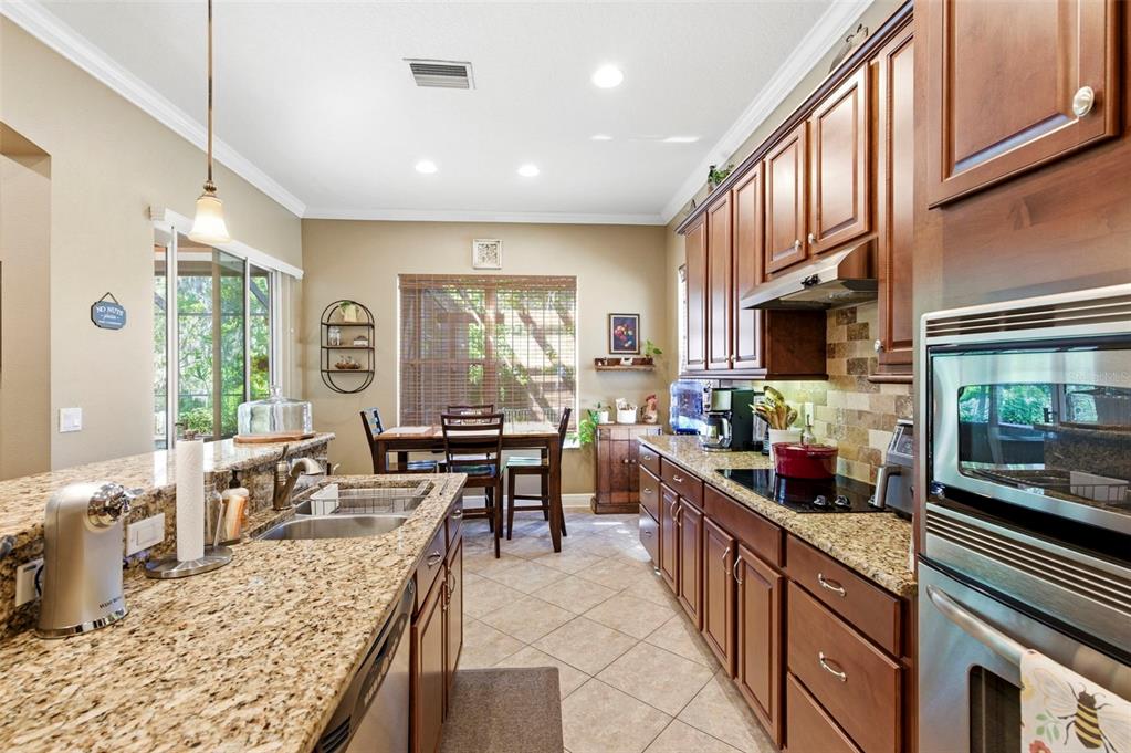 8743 New Alexandria Loop New Port Richey, FL 34654 - Photo 21 of 100