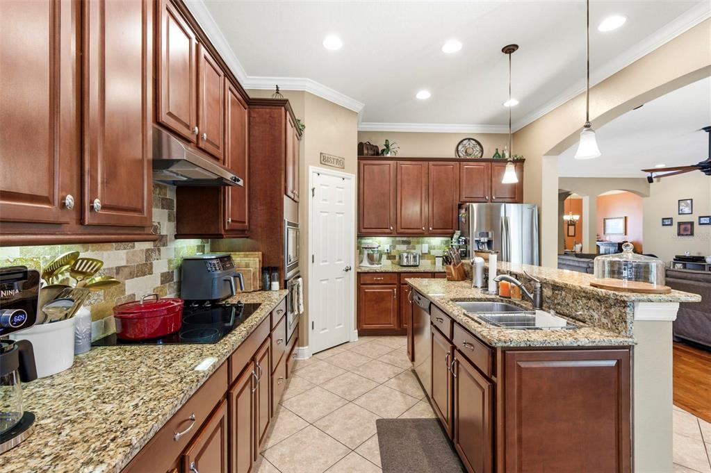 8743 New Alexandria Loop New Port Richey, FL 34654 - Photo 22 of 100