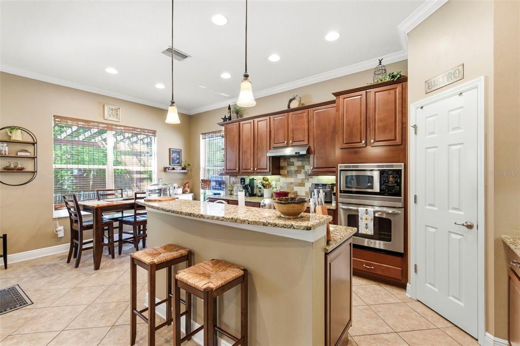 8743 New Alexandria Loop New Port Richey, FL 34654 - Photo 25 of 100