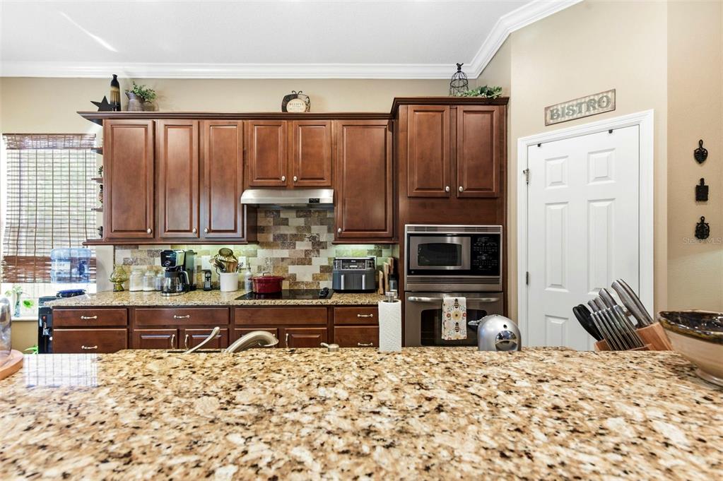 8743 New Alexandria Loop New Port Richey, FL 34654 - Photo 26 of 100
