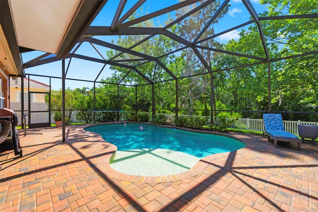 8743 New Alexandria Loop New Port Richey, FL 34654 - Photo 3 of 100