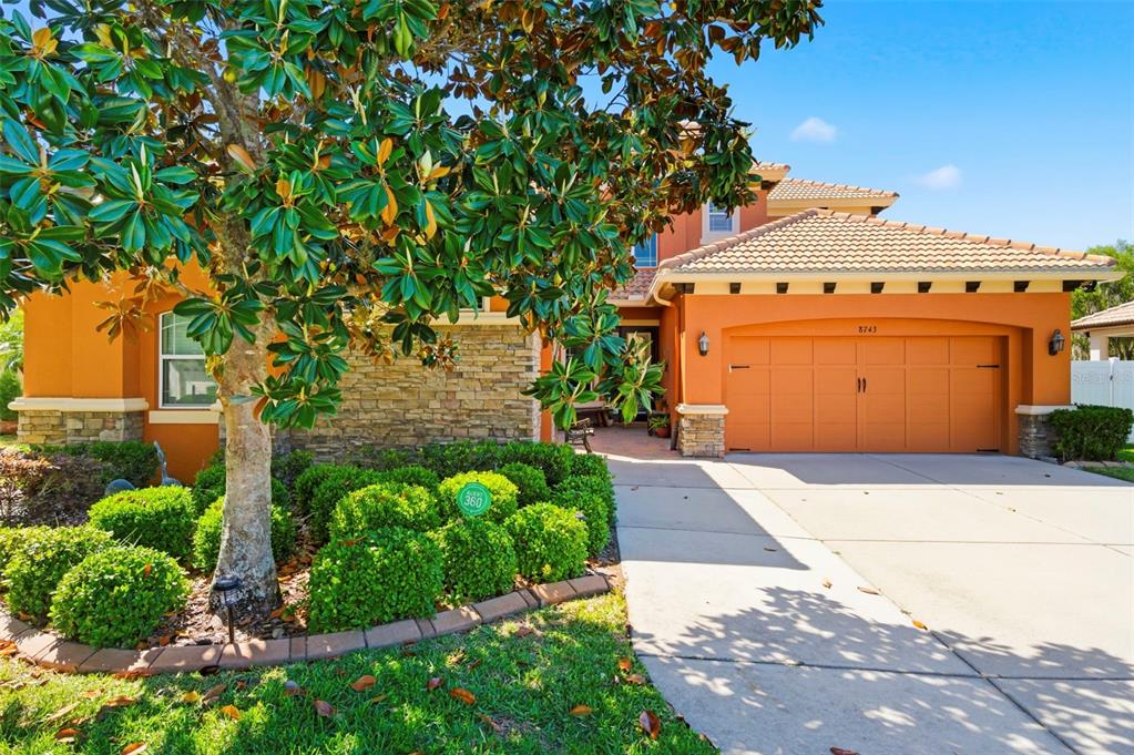 8743 New Alexandria Loop New Port Richey, FL 34654 - Photo 4 of 100