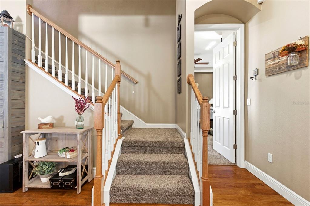 8743 New Alexandria Loop New Port Richey, FL 34654 - Photo 45 of 100