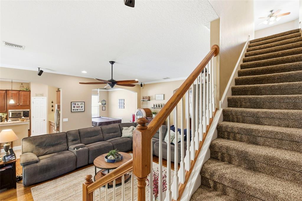 8743 New Alexandria Loop New Port Richey, FL 34654 - Photo 46 of 100