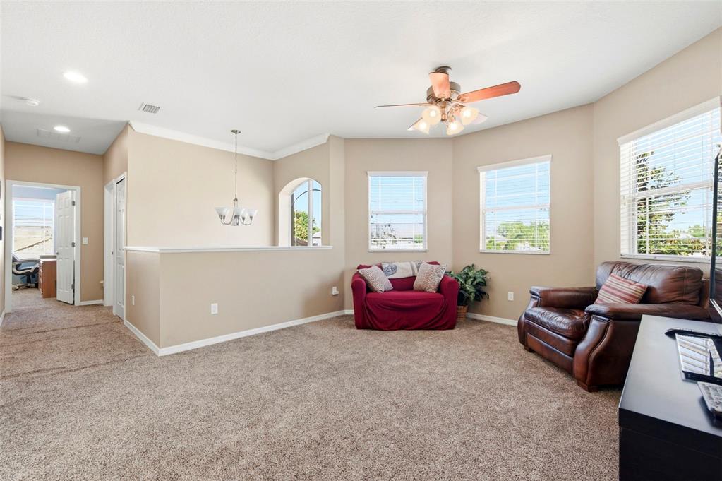 8743 New Alexandria Loop New Port Richey, FL 34654 - Photo 47 of 100