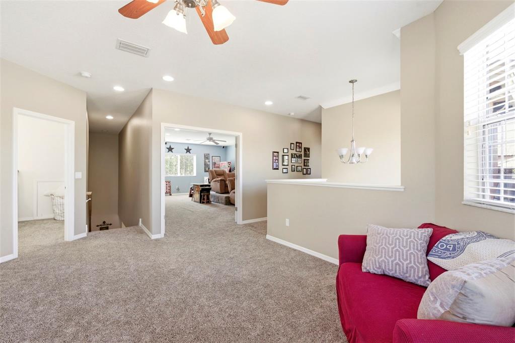 8743 New Alexandria Loop New Port Richey, FL 34654 - Photo 49 of 100