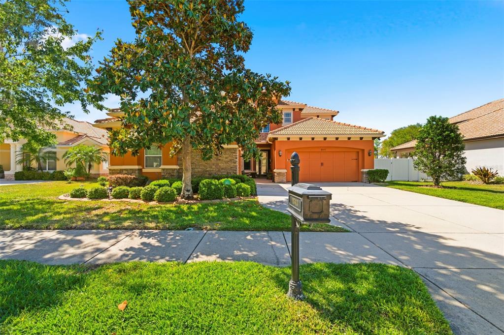 8743 New Alexandria Loop New Port Richey, FL 34654 - Photo 5 of 100