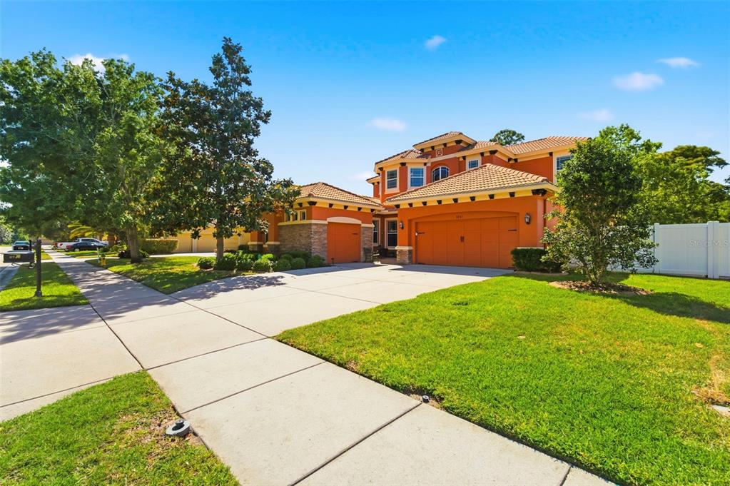 8743 New Alexandria Loop New Port Richey, FL 34654 - Photo 6 of 100