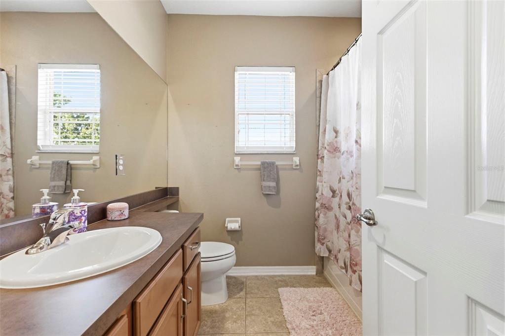 8743 New Alexandria Loop New Port Richey, FL 34654 - Photo 61 of 100