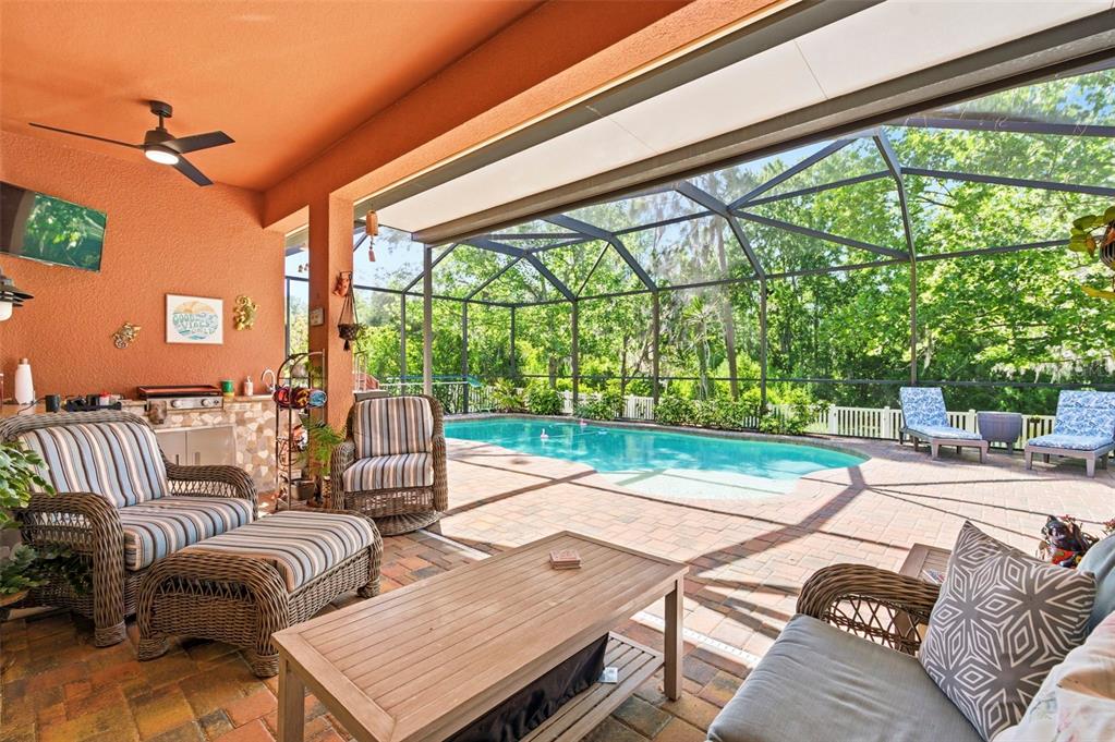 8743 New Alexandria Loop New Port Richey, FL 34654 - Photo 65 of 100