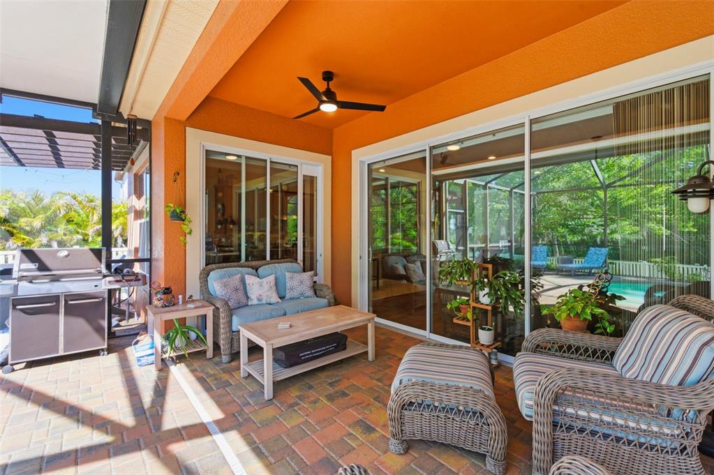 8743 New Alexandria Loop New Port Richey, FL 34654 - Photo 67 of 100