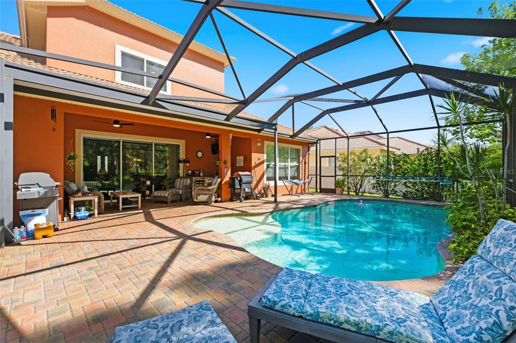 8743 New Alexandria Loop New Port Richey, FL 34654 - Photo 70 of 100