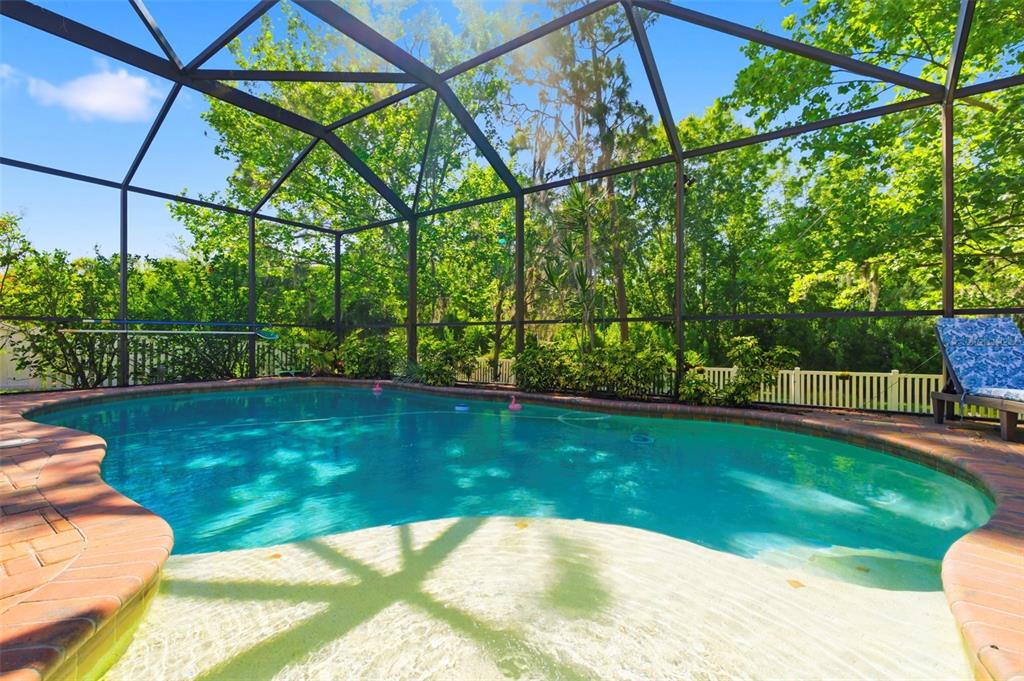 8743 New Alexandria Loop New Port Richey, FL 34654 - Photo 71 of 100