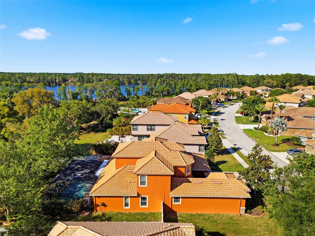 8743 New Alexandria Loop New Port Richey, FL 34654 - Photo 80 of 100